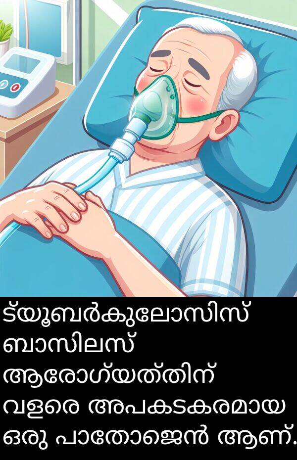 ആണ്: ട്യൂബർകുലോസിസ് ബാസിലസ് ആരോഗ്യത്തിന് വളരെ അപകടകരമായ ഒരു പാതോജെൻ ആണ്.