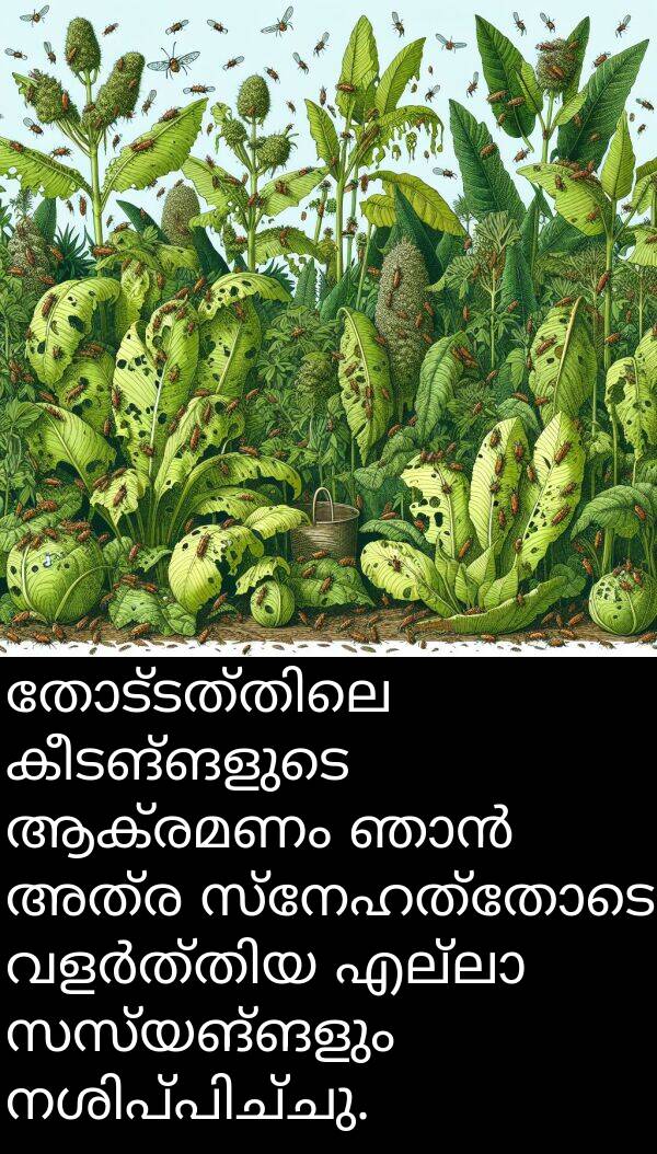 കീടങ്ങളുടെ: തോട്ടത്തിലെ കീടങ്ങളുടെ ആക്രമണം ഞാൻ അത്ര സ്നേഹത്തോടെ വളർത്തിയ എല്ലാ സസ്യങ്ങളും നശിപ്പിച്ചു.