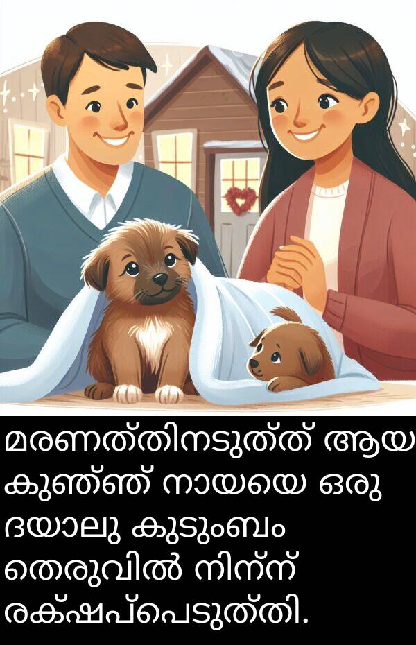 കുഞ്ഞ്: മരണത്തിനടുത്ത് ആയ കുഞ്ഞ് നായയെ ഒരു ദയാലു കുടുംബം തെരുവിൽ നിന്ന് രക്ഷപ്പെടുത്തി.