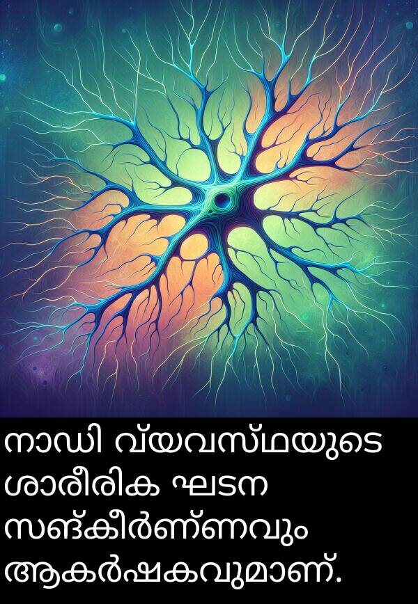വ്യവസ്ഥയുടെ: നാഡി വ്യവസ്ഥയുടെ ശാരീരിക ഘടന സങ്കീർണ്ണവും ആകർഷകവുമാണ്.