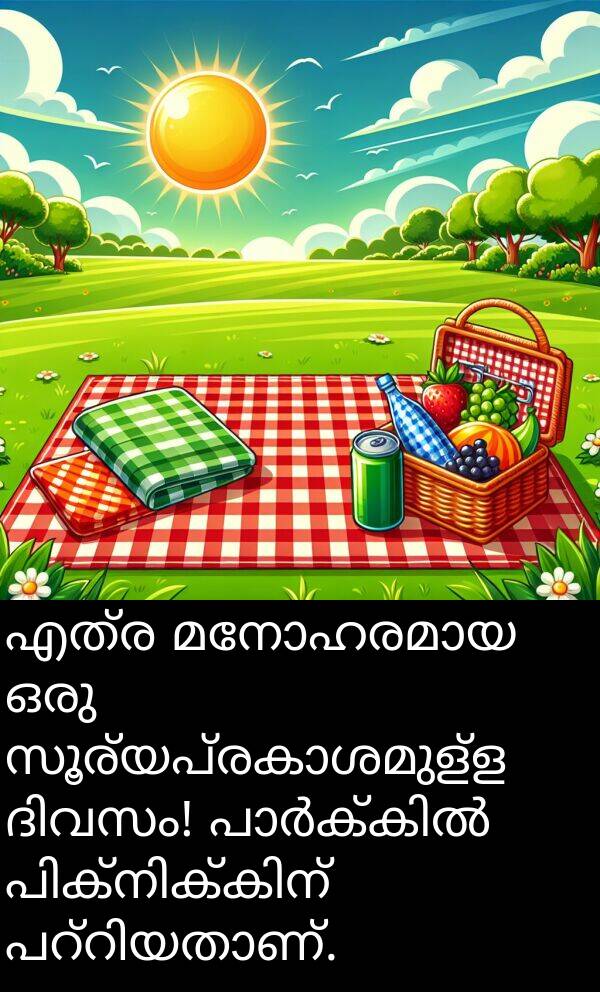 എത്ര: എത്ര മനോഹരമായ ഒരു സൂര്യപ്രകാശമുള്ള ദിവസം! പാർക്കിൽ പിക്‌നിക്കിന് പറ്റിയതാണ്.
