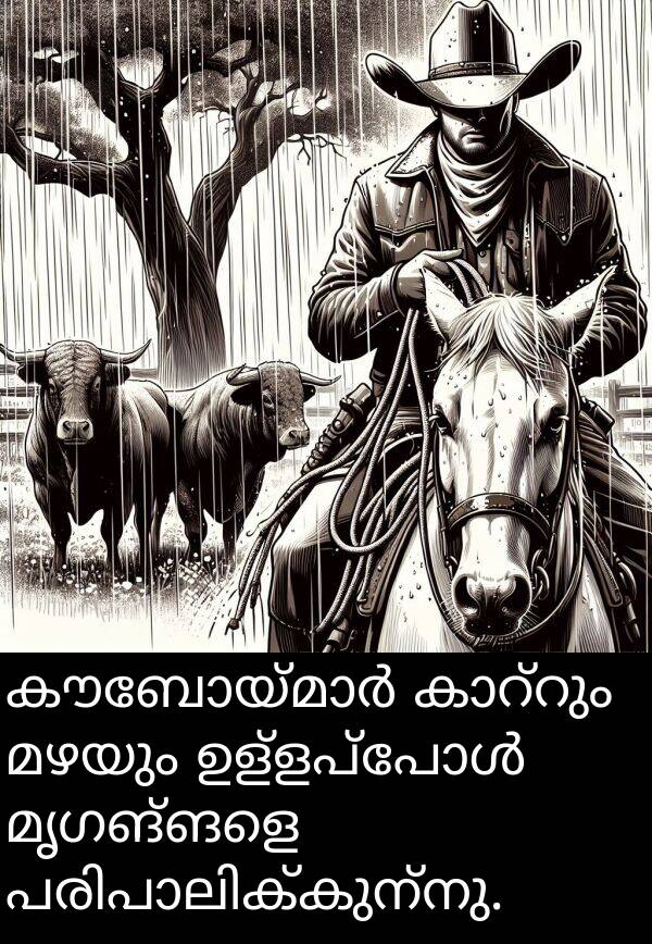 മഴയും: കൗബോയ്മാർ കാറ്റും മഴയും ഉള്ളപ്പോൾ മൃഗങ്ങളെ പരിപാലിക്കുന്നു.