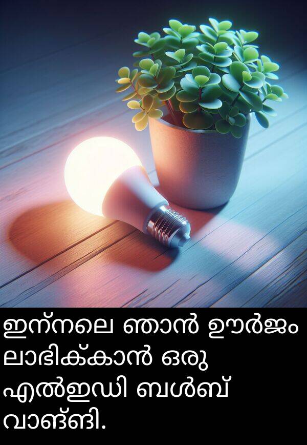 ഇന്നലെ: ഇന്നലെ ഞാൻ ഊർജം ലാഭിക്കാൻ ഒരു എൽഇഡി ബൾബ് വാങ്ങി.