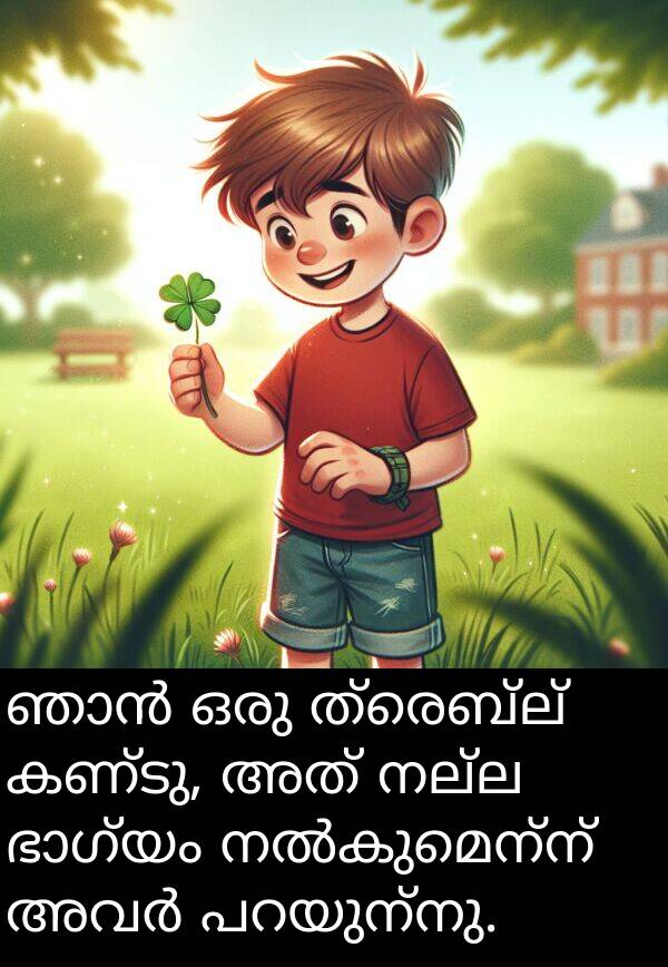 നല്ല: ഞാൻ ഒരു ത്രെബ്ല് കണ്ടു, അത് നല്ല ഭാഗ്യം നൽകുമെന്ന് അവർ പറയുന്നു.