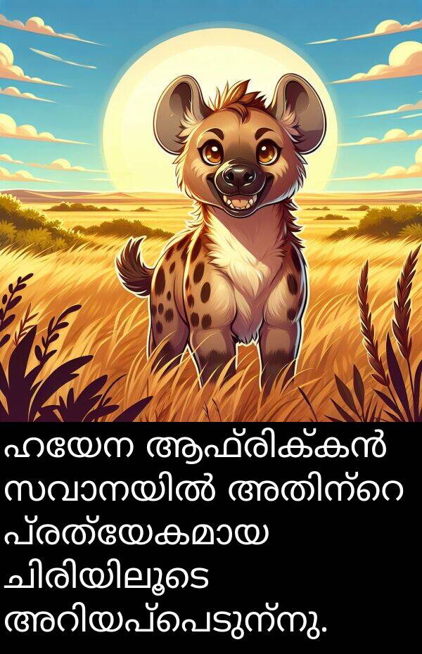 ഹയേന: ഹയേന ആഫ്രിക്കൻ സവാനയിൽ അതിന്റെ പ്രത്യേകമായ ചിരിയിലൂടെ അറിയപ്പെടുന്നു.