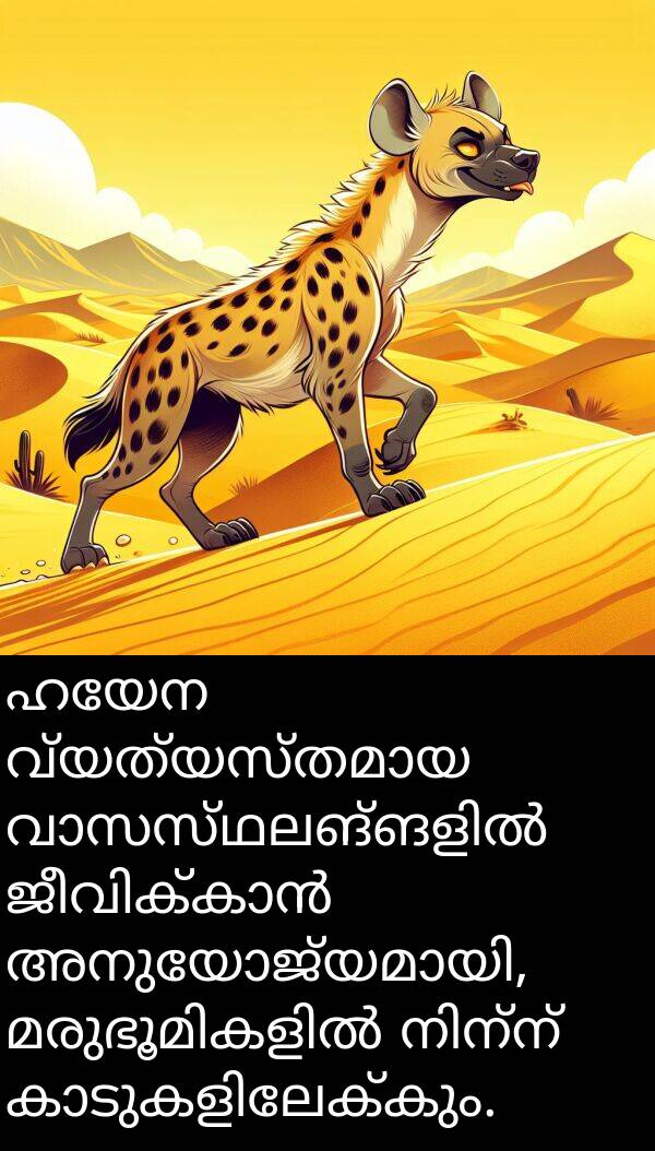 ഹയേന: ഹയേന വ്യത്യസ്തമായ വാസസ്ഥലങ്ങളിൽ ജീവിക്കാൻ അനുയോജ്യമായി, മരുഭൂമികളിൽ നിന്ന് കാടുകളിലേക്കും.
