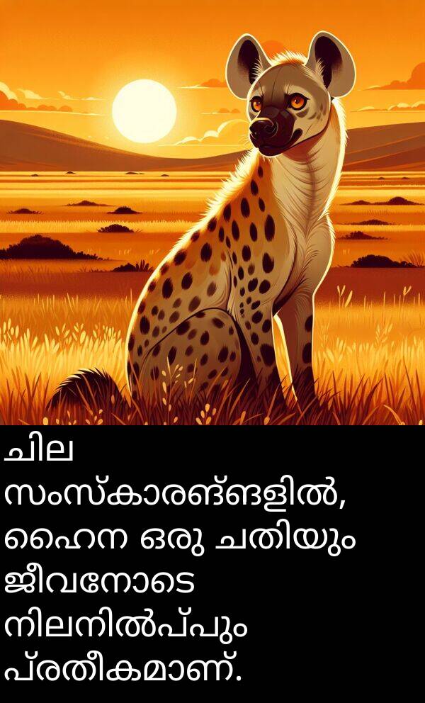 ജീവനോടെ: ചില സംസ്കാരങ്ങളിൽ, ഹൈന ഒരു ചതിയും ജീവനോടെ നിലനിൽപ്പും പ്രതീകമാണ്.