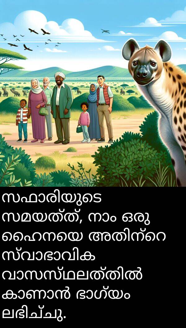 സമയത്ത്: സഫാരിയുടെ സമയത്ത്, നാം ഒരു ഹൈനയെ അതിന്റെ സ്വാഭാവിക വാസസ്ഥലത്തിൽ കാണാൻ ഭാഗ്യം ലഭിച്ചു.