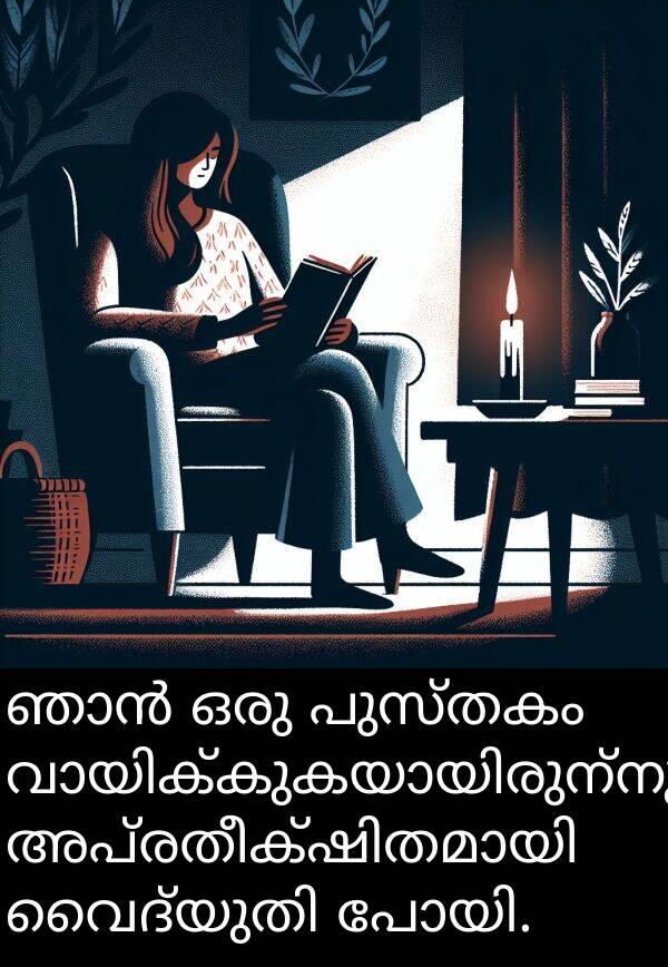പുസ്തകം: ഞാൻ ഒരു പുസ്തകം വായിക്കുകയായിരുന്നു, അപ്രതീക്ഷിതമായി വൈദ്യുതി പോയി.