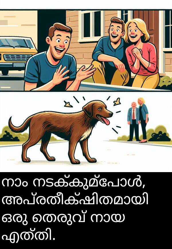 തെരുവ്: നാം നടക്കുമ്പോൾ, അപ്രതീക്ഷിതമായി ഒരു തെരുവ് നായ എത്തി.