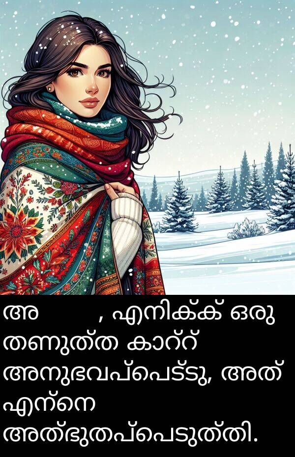 തണുത്ത: അचानक, എനിക്ക് ഒരു തണുത്ത കാറ്റ് അനുഭവപ്പെട്ടു, അത് എന്നെ അത്ഭുതപ്പെടുത്തി.