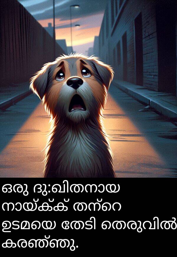 കരഞ്ഞു: ഒരു ദു:ഖിതനായ നായ്‌ക്ക് തന്റെ ഉടമയെ തേടി തെരുവിൽ കരഞ്ഞു.