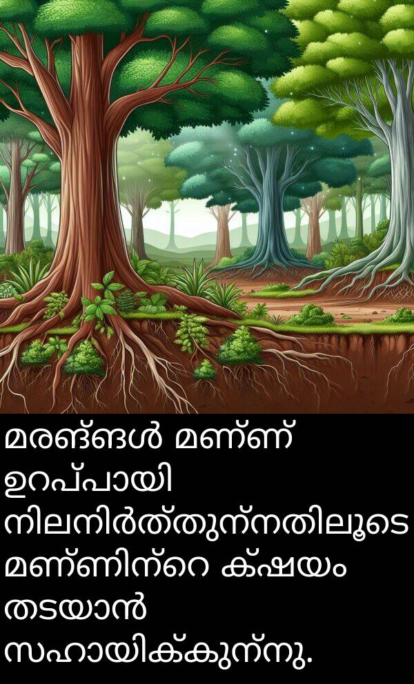 മണ്ണ്: മരങ്ങൾ മണ്ണ് ഉറപ്പായി നിലനിർത്തുന്നതിലൂടെ മണ്ണിന്റെ ക്ഷയം തടയാൻ സഹായിക്കുന്നു.