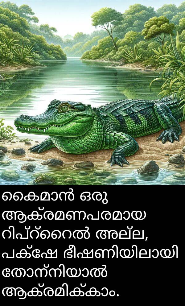 അല്ല: കൈമാൻ ഒരു ആക്രമണപരമായ റിപ്റ്റൈൽ അല്ല, പക്ഷേ ഭീഷണിയിലായി തോന്നിയാൽ ആക്രമിക്കാം.