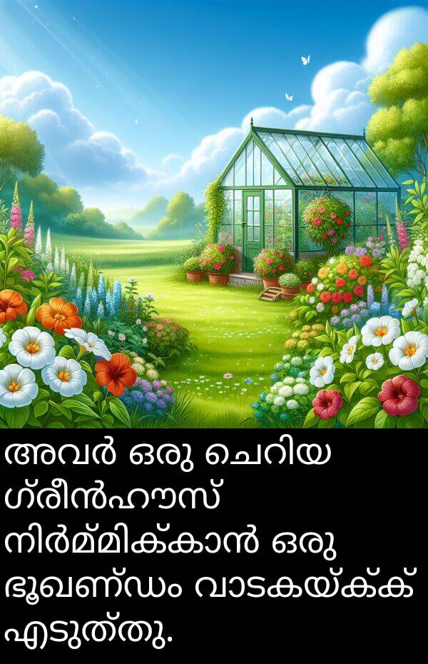 ഭൂഖണ്ഡം: അവർ ഒരു ചെറിയ ഗ്രീൻഹൗസ് നിർമ്മിക്കാൻ ഒരു ഭൂഖണ്ഡം വാടകയ്ക്ക് എടുത്തു.