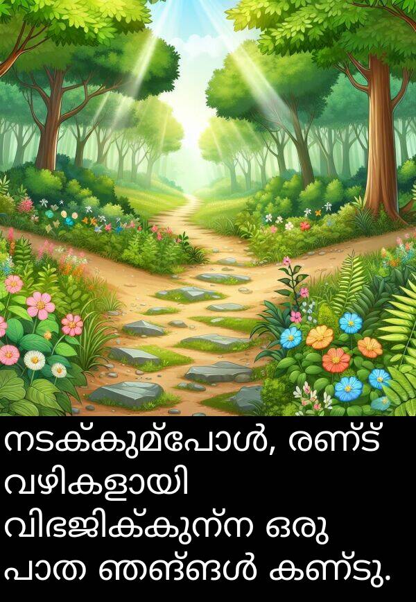 രണ്ട്: നടക്കുമ്പോൾ, രണ്ട് വഴികളായി വിഭജിക്കുന്ന ഒരു പാത ഞങ്ങൾ കണ്ടു.