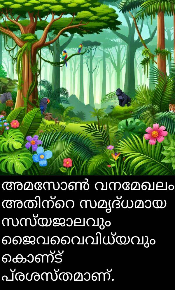 കൊണ്ട്: അമസോൺ വനമേഖലം അതിന്റെ സമൃദ്ധമായ സസ്യജാലവും ജൈവവൈവിധ്യവും കൊണ്ട് പ്രശസ്തമാണ്.
