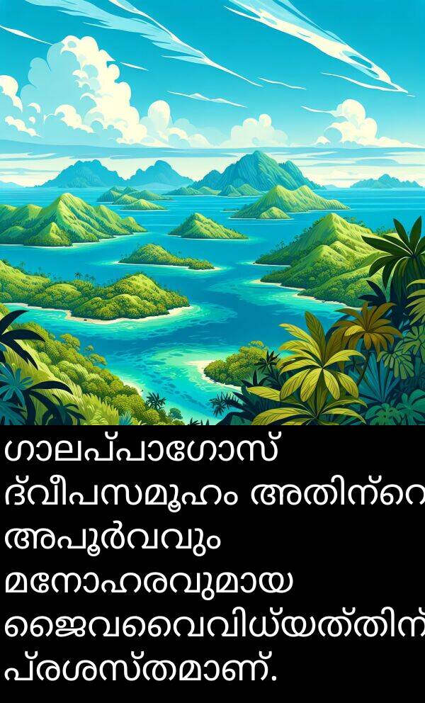 ദ്വീപസമൂഹം: ഗാലപ്പാഗോസ് ദ്വീപസമൂഹം അതിന്റെ അപൂർവവും മനോഹരവുമായ ജൈവവൈവിധ്യത്തിന് പ്രശസ്തമാണ്.
