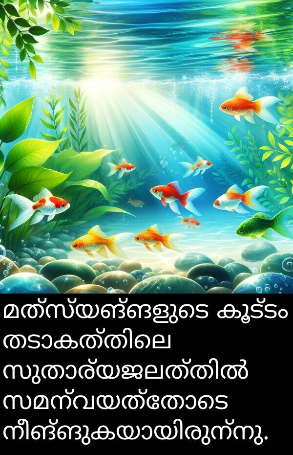 സമന്വയത്തോടെ: മത്സ്യങ്ങളുടെ കൂട്ടം തടാകത്തിലെ സുതാര്യജലത്തിൽ സമന്വയത്തോടെ നീങ്ങുകയായിരുന്നു.