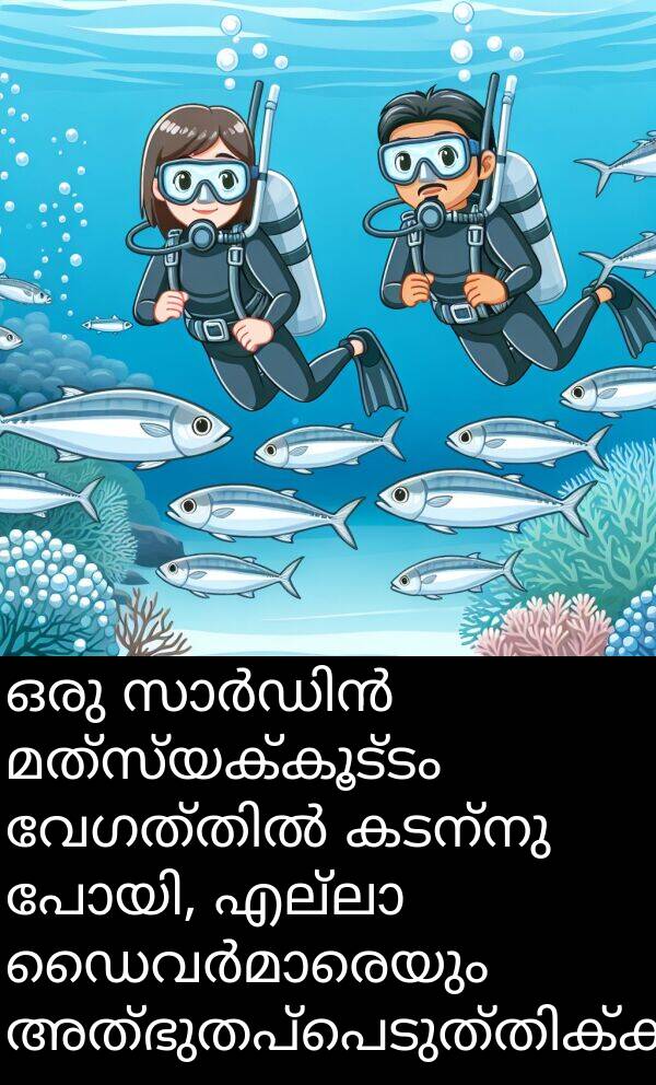 മത്സ്യക്കൂട്ടം: ഒരു സാർഡിൻ മത്സ്യക്കൂട്ടം വേഗത്തിൽ കടന്നു പോയി, എല്ലാ ഡൈവർമാരെയും അത്ഭുതപ്പെടുത്തിക്കഴിഞ്ഞു.