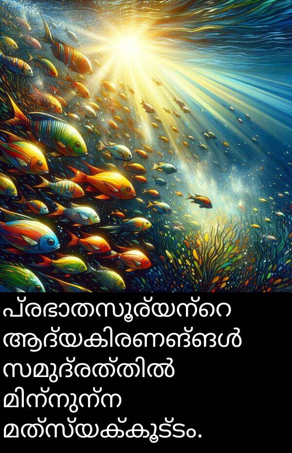 മത്സ്യക്കൂട്ടം: പ്രഭാതസൂര്യന്റെ ആദ്യകിരണങ്ങൾ സമുദ്രത്തിൽ മിന്നുന്ന മത്സ്യക്കൂട്ടം.