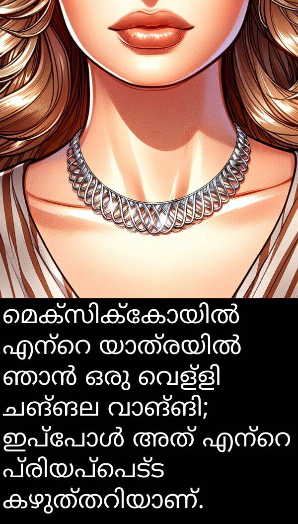 ചങ്ങല: മെക്സിക്കോയിൽ എന്റെ യാത്രയിൽ ഞാൻ ഒരു വെള്ളി ചങ്ങല വാങ്ങി; ഇപ്പോൾ അത് എന്റെ പ്രിയപ്പെട്ട കഴുത്തറിയാണ്.
