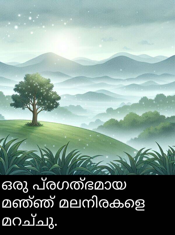 ഒരു: ഒരു പ്രഗത്ഭമായ മഞ്ഞ് മലനിരകളെ മറച്ചു.