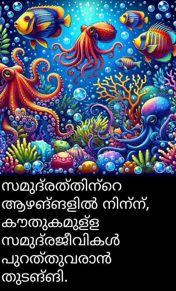 കൗതുകമുള്ള: സമുദ്രത്തിന്റെ ആഴങ്ങളിൽ നിന്ന്, കൗതുകമുള്ള സമുദ്രജീവികൾ പുറത്തുവരാൻ തുടങ്ങി.