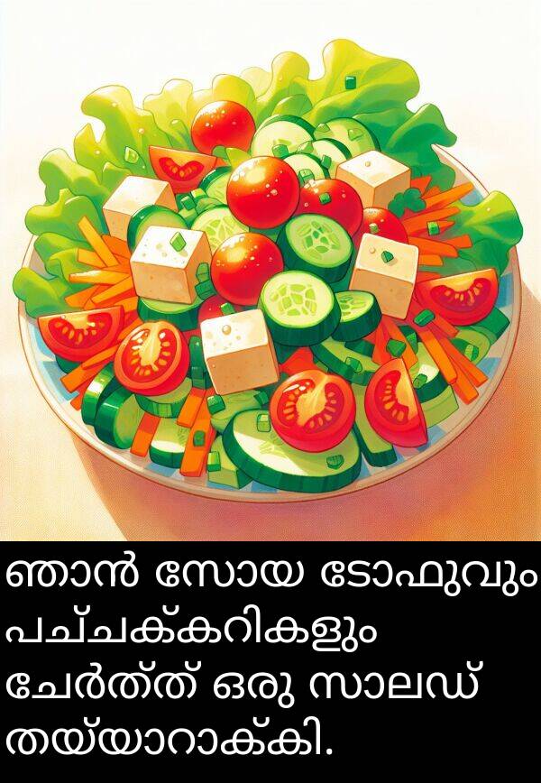 സോയ: ഞാൻ സോയ ടോഫുവും تازہ പച്ചക്കറികളും ചേർത്ത് ഒരു സാലഡ് തയ്യാറാക്കി.