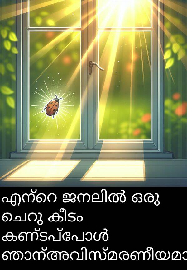 കീടം: എന്റെ ജനലിൽ ഒരു ചെറു കീടം കണ്ടപ്പോൾ ഞാന്അവിസ്മരണീയമായി.