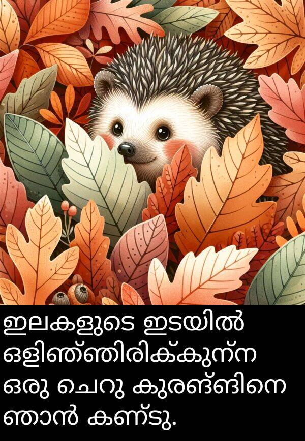 ഇലകളുടെ: ഇലകളുടെ ഇടയിൽ ഒളിഞ്ഞിരിക്കുന്ന ഒരു ചെറു കുരങ്ങിനെ ഞാൻ കണ്ടു.