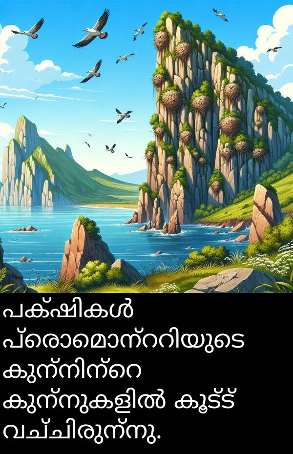 കൂട്ട്: പക്ഷികൾ പ്രൊമൊന്ററിയുടെ കുന്നിന്റെ കുന്നുകളിൽ കൂട്ട് വച്ചിരുന്നു.