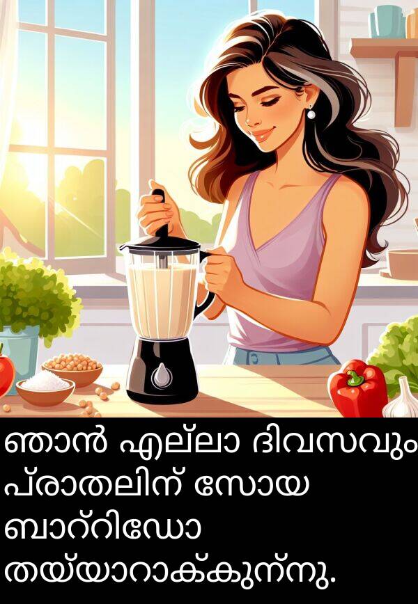 സോയ: ഞാൻ എല്ലാ ദിവസവും പ്രാതലിന് സോയ ബാറ്റിഡോ തയ്യാറാക്കുന്നു.