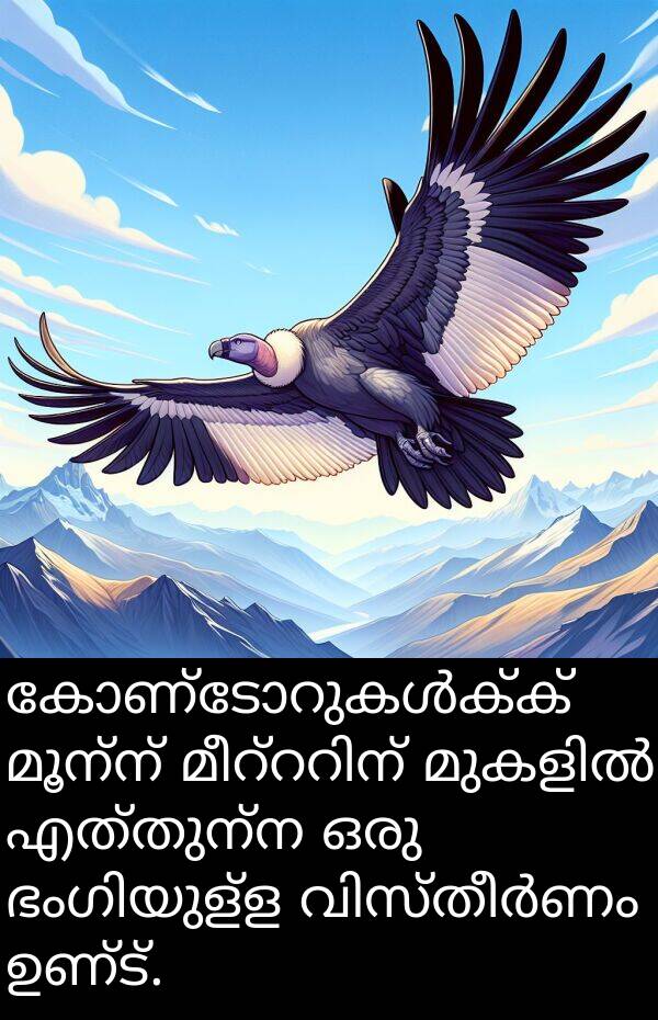 മൂന്ന്: കോണ്ടോറുകൾക്ക് മൂന്ന് മീറ്ററിന് മുകളിൽ എത്തുന്ന ഒരു ഭംഗിയുള്ള വിസ്തീർണം ഉണ്ട്.