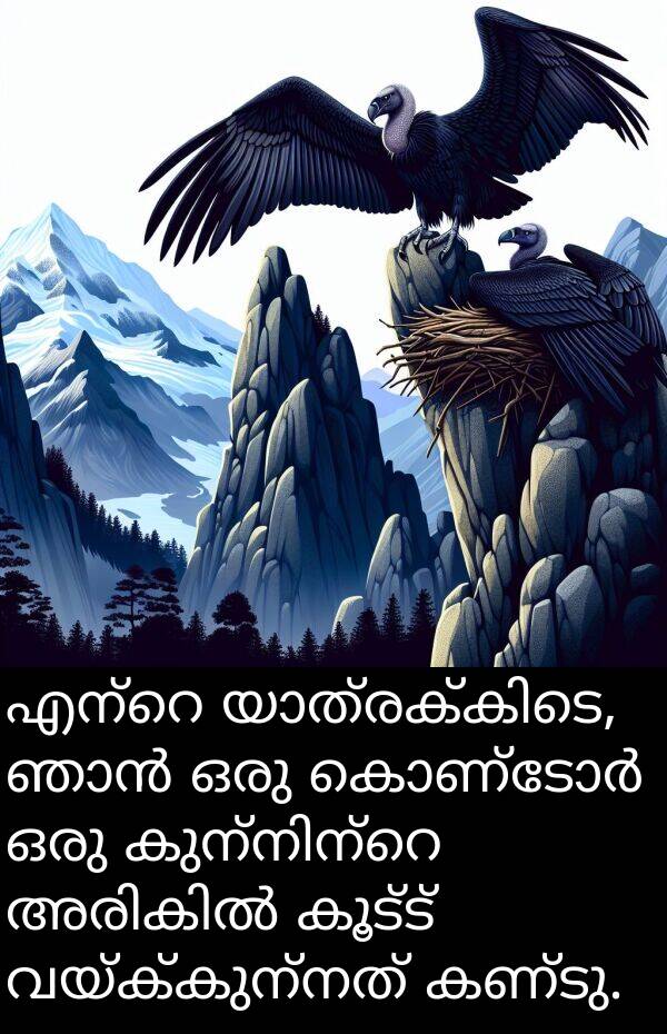 വയ്ക്കുന്നത്: എന്റെ യാത്രക്കിടെ, ഞാൻ ഒരു കൊണ്ടോർ ഒരു കുന്നിന്റെ അരികിൽ കൂട്ട് വയ്ക്കുന്നത് കണ്ടു.