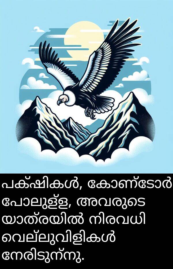 അവരുടെ: പക്ഷികൾ, കോണ്ടോർ പോലുള്ള, അവരുടെ യാത്രയിൽ നിരവധി വെല്ലുവിളികൾ നേരിടുന്നു.