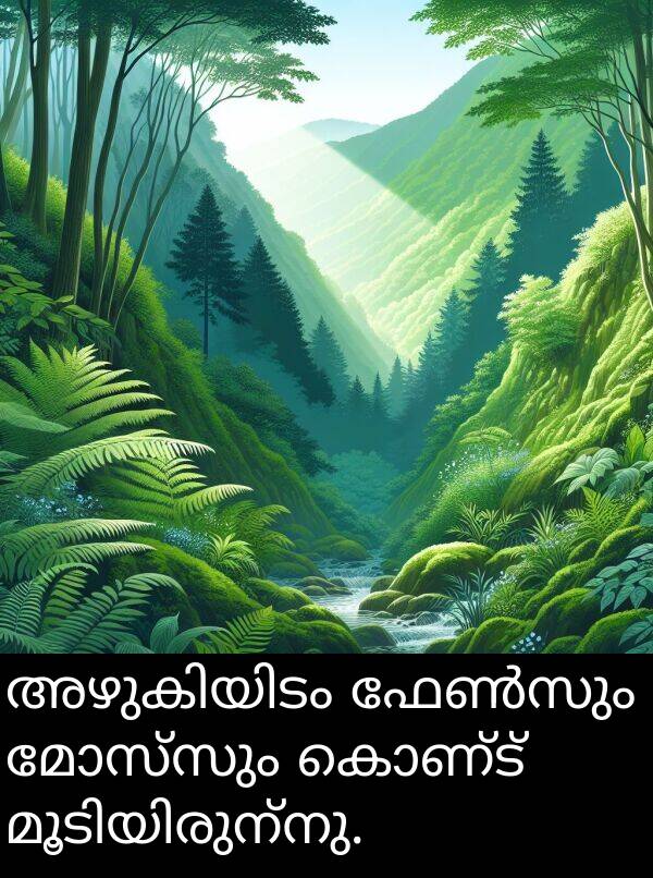 കൊണ്ട്: അഴുകിയിടം ഫേൺസും മോസ്‌സും കൊണ്ട് മൂടിയിരുന്നു.