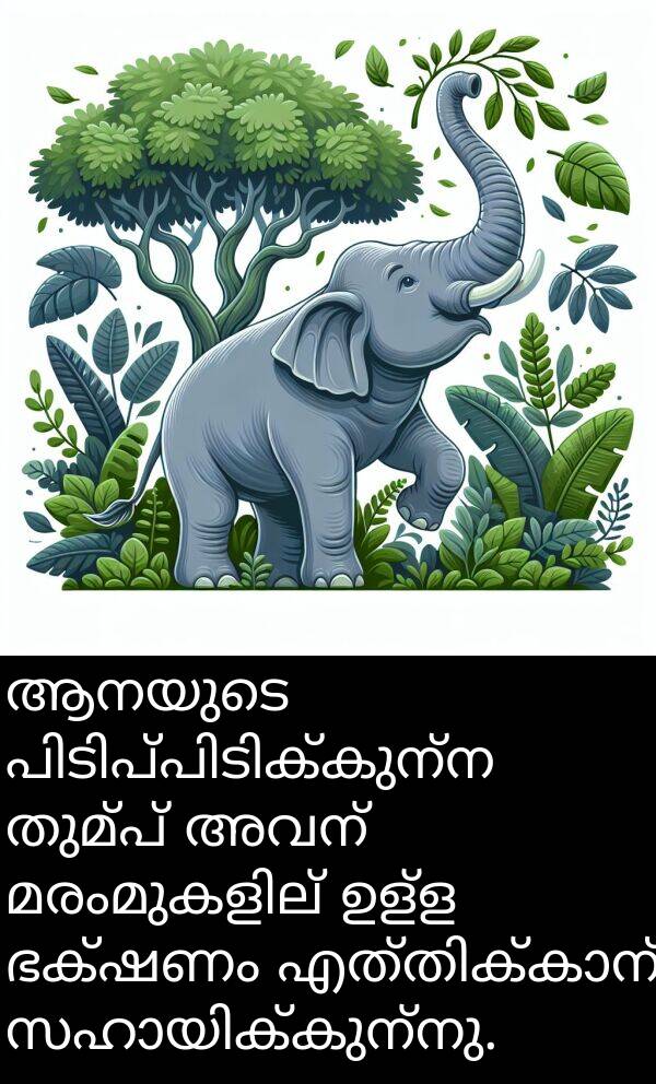ഉള്ള: ആനയുടെ പിടിപ്പിടിക്കുന്ന തുമ്പ് അവന്‍ മരംമുകളില്‍ ഉള്ള ഭക്ഷണം എത്തിക്കാന്‍ സഹായിക്കുന്നു.