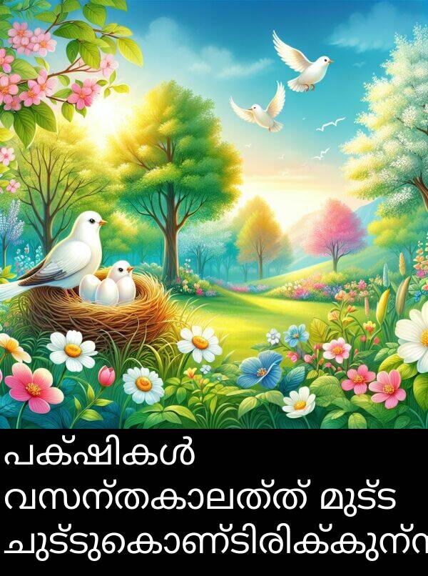 മുട്ട: പക്ഷികൾ വസന്തകാലത്ത് മുട്ട ചുട്ടുകൊണ്ടിരിക്കുന്നു.