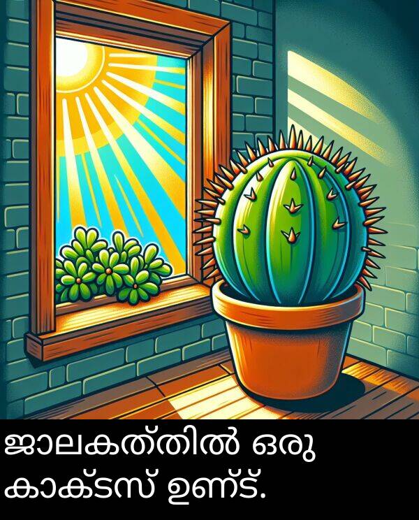 ഉണ്ട്: ജാലകത്തിൽ ഒരു കാക്ടസ് ഉണ്ട്.