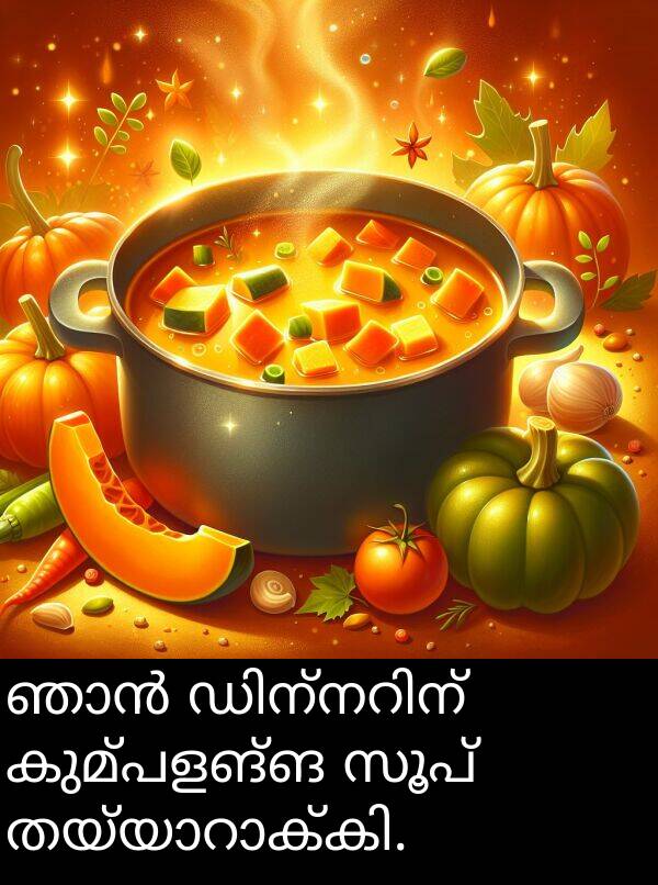 കുമ്പളങ്ങ: ഞാൻ ഡിന്നറിന് കുമ്പളങ്ങ സൂപ് തയ്യാറാക്കി.
