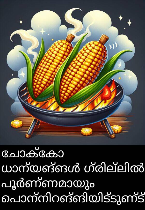 ചോക്കോ: ചോക്കോ ധാന്യങ്ങൾ ഗ്രില്ലിൽ പൂർണ്ണമായും പൊന്നിറങ്ങിയിട്ടുണ്ട്.