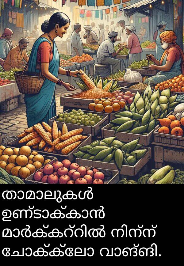 ചോക്ക്ലോ: താമാലുകൾ ഉണ്ടാക്കാൻ മാർക്കറ്റിൽ നിന്ന് ചോക്ക്ലോ വാങ്ങി.