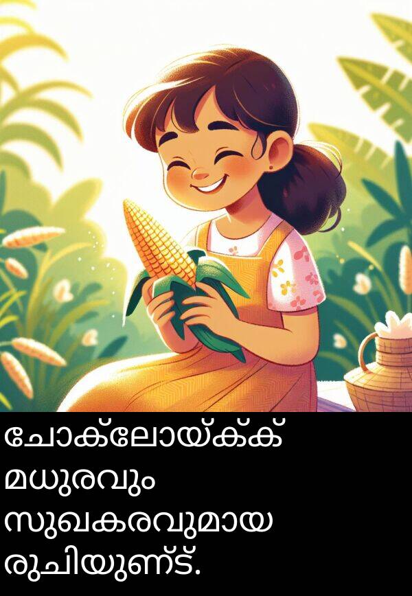 ചോക്ലോയ്ക്ക്: ചോക്ലോയ്ക്ക് മധുരവും സുഖകരവുമായ രുചിയുണ്ട്.