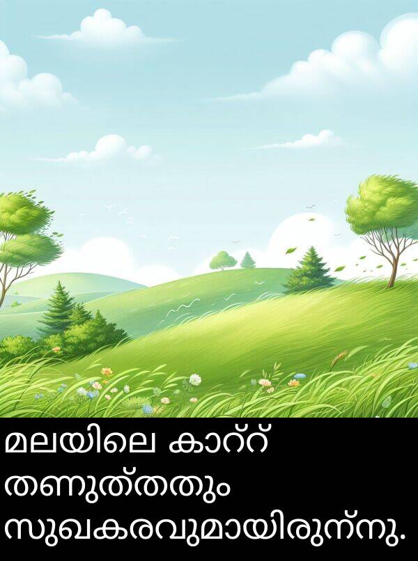 തണുത്തതും: മലയിലെ കാറ്റ് തണുത്തതും സുഖകരവുമായിരുന്നു.