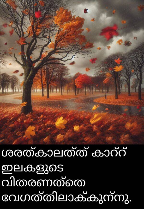 ഇലകളുടെ: ശരത്കാലത്ത് കാറ്റ് ഇലകളുടെ വിതരണത്തെ വേഗത്തിലാക്കുന്നു.