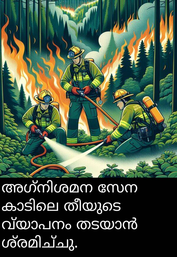 തീയുടെ: അഗ്നിശമന സേന കാടിലെ തീയുടെ വ്യാപനം തടയാൻ ശ്രമിച്ചു.