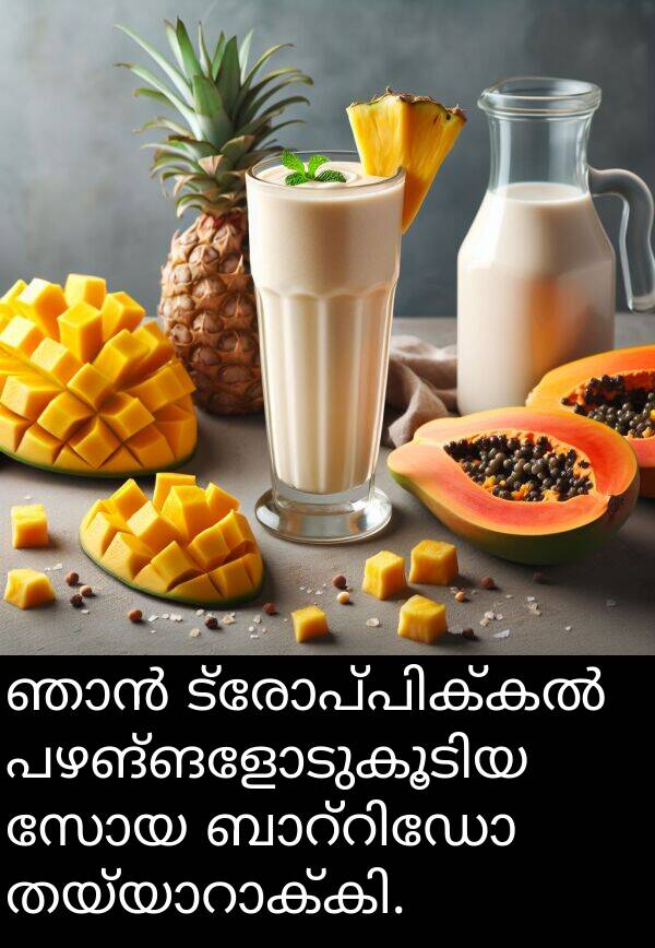 സോയ: ഞാൻ ട്രോപ്പിക്കൽ പഴങ്ങളോടുകൂടിയ സോയ ബാറ്റിഡോ തയ്യാറാക്കി.