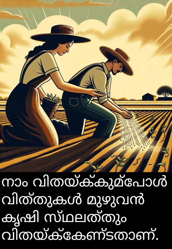 സ്ഥലത്തും: നാം വിതയ്ക്കുമ്പോൾ വിത്തുകൾ മുഴുവൻ കൃഷി സ്ഥലത്തും വിതയ്ക്കേണ്ടതാണ്.