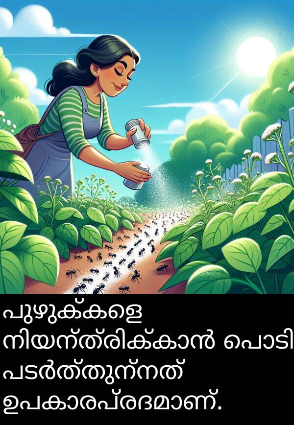 പുഴുക്കളെ: പുഴുക്കളെ നിയന്ത്രിക്കാൻ പൊടി പടർത്തുന്നത് ഉപകാരപ്രദമാണ്.
